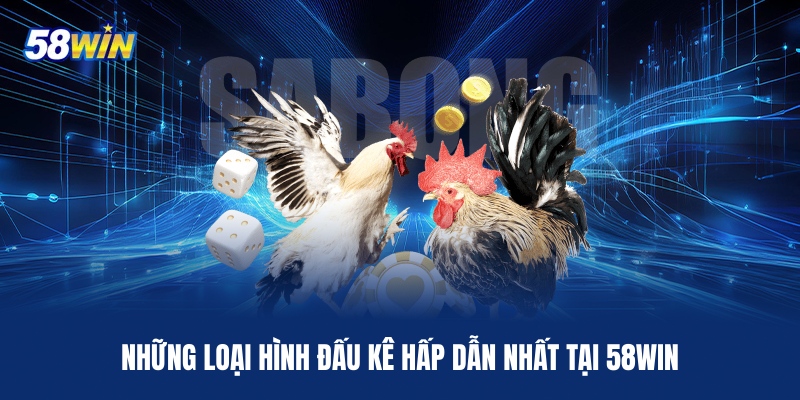 nhung-loai-hinh-dau-ke-hap-dan-nhat-tai-58win