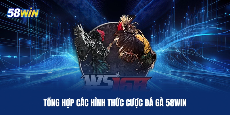 tong-hop-cac-hinh-thuc-cuoc-da-ga-58win