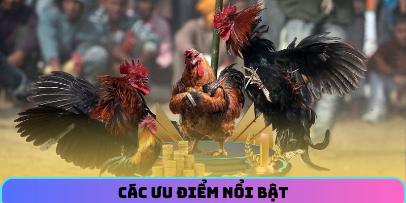 da-ga-88aa-diem-cong