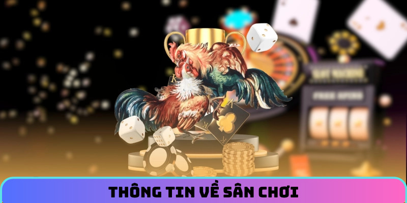 da-ga-88aa-tong-quan